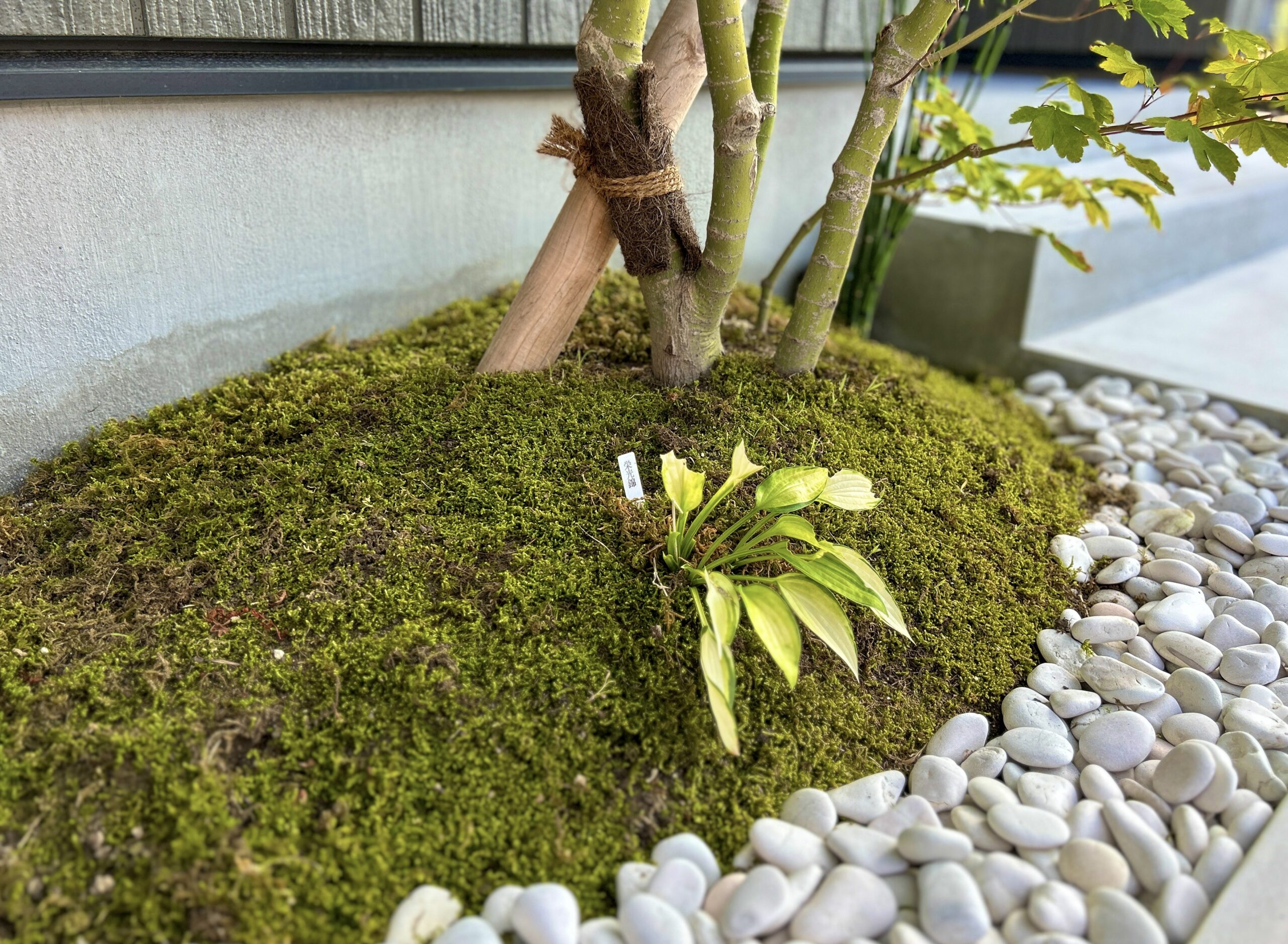 坪庭　名古屋市 ブランコ　外構
