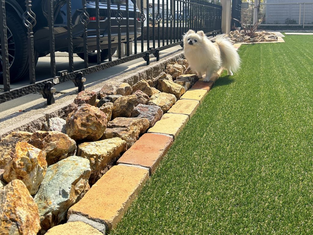 愛知県　津島市　庭工事 犬 ドッグガーデン