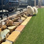 愛知県　津島市　庭工事 犬 ドッグガーデン