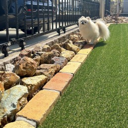 愛知県　津島市　庭工事 犬 ドッグガーデン