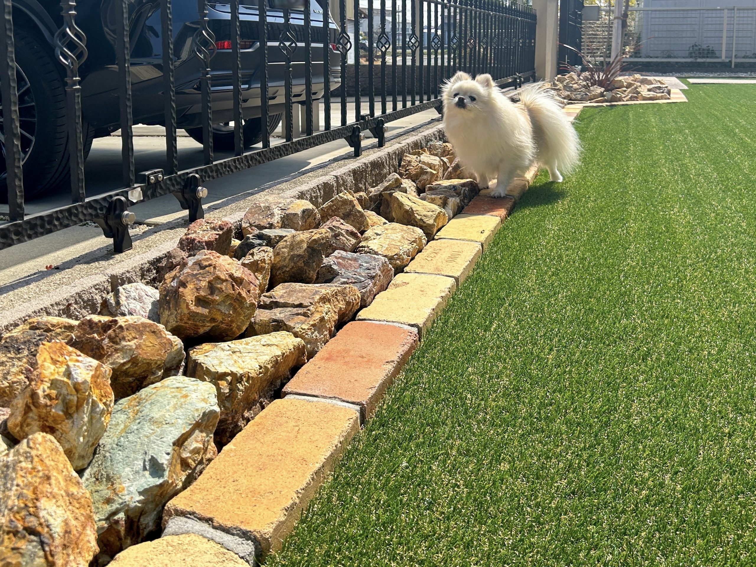 愛知県　津島市　庭工事 犬 ドッグガーデン