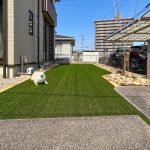 愛知県　津島市　庭工事 犬 ドッグガーデン