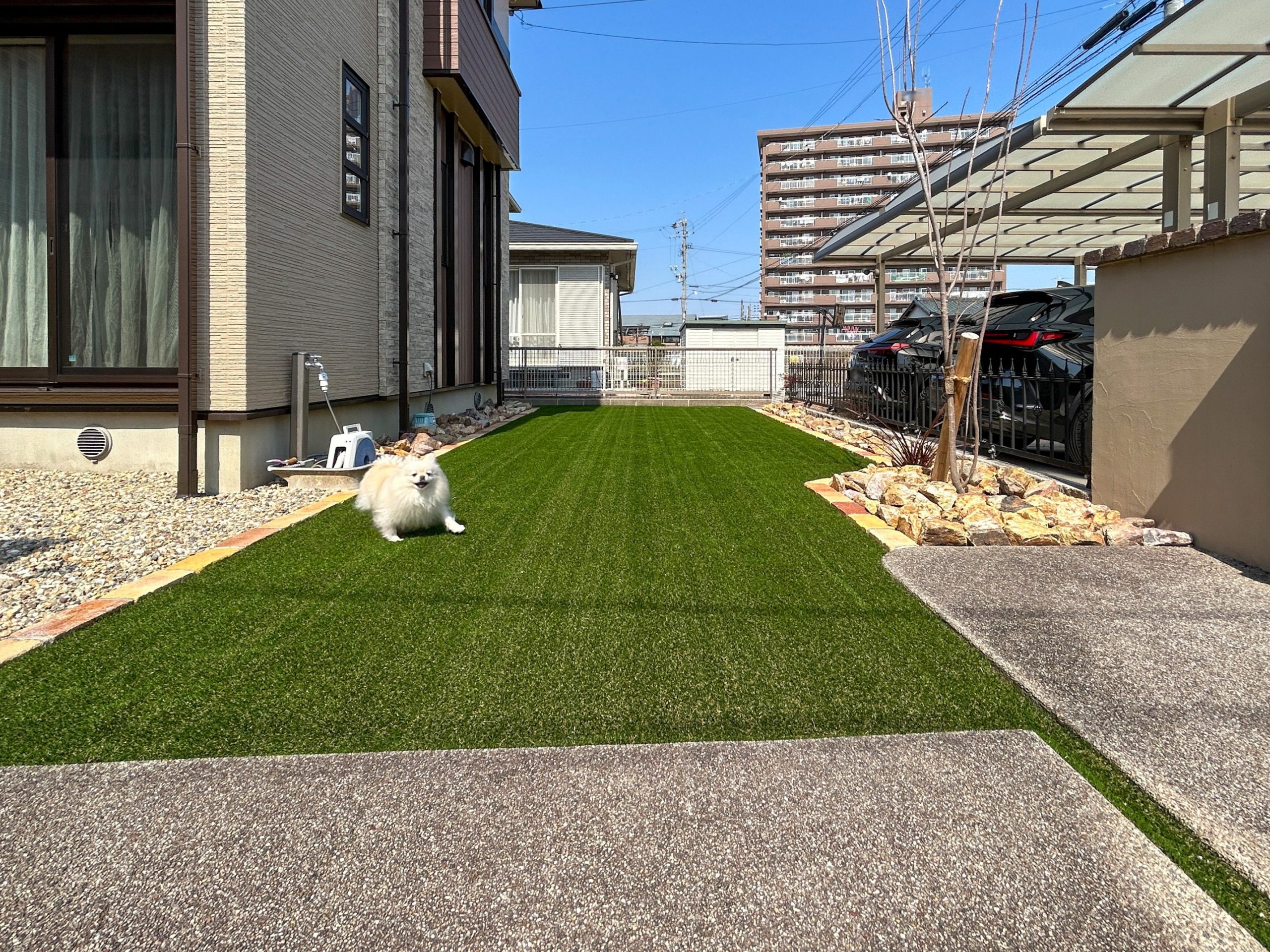 愛知県　津島市　庭工事 犬 ドッグガーデン