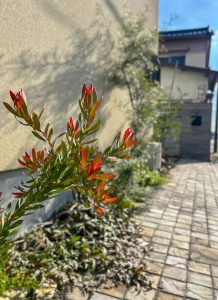 愛知県　名古屋市　外構工事　新築外構　BLANCO