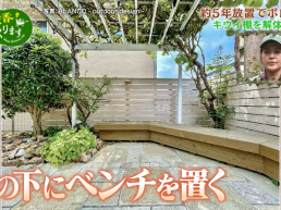 黒谷友香、お庭つくります キウイ棚