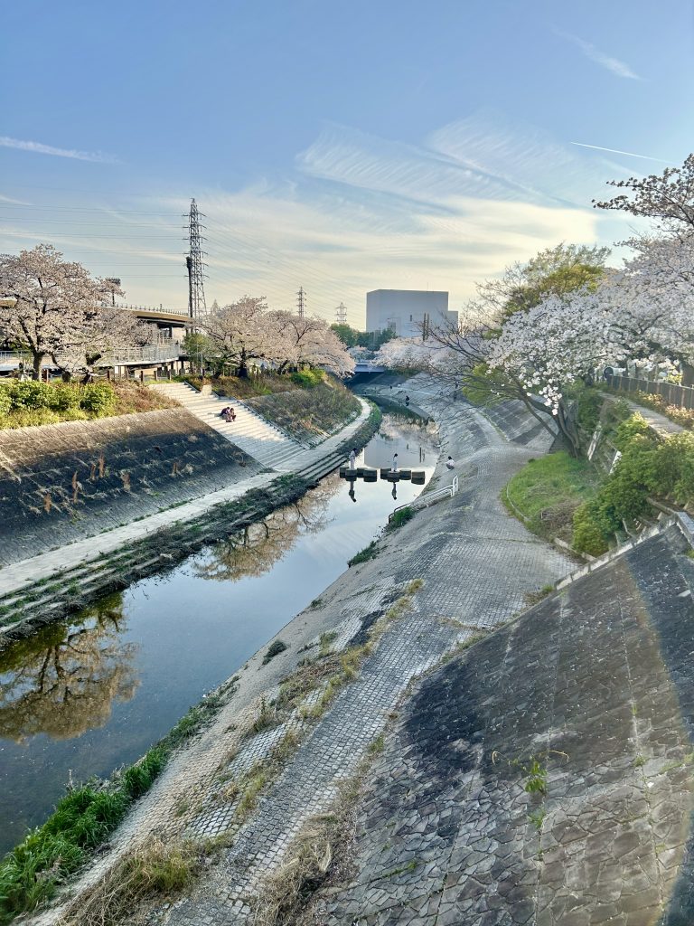 名古屋市 山崎川