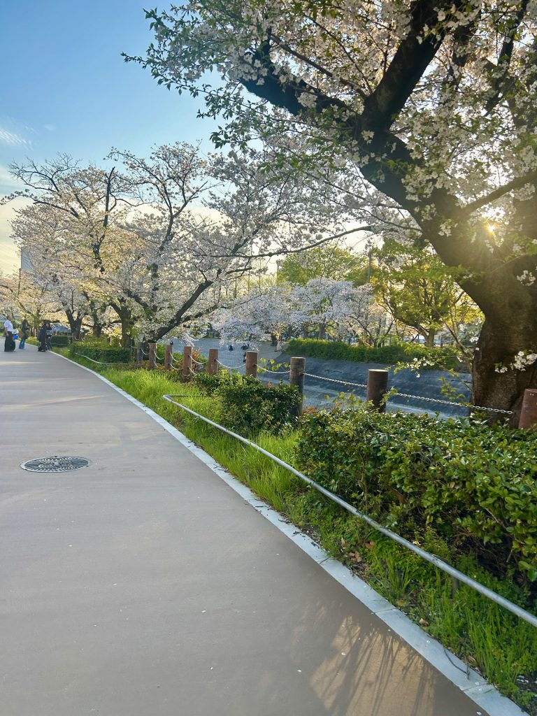 名古屋市 山崎川