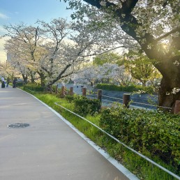 名古屋市　山崎川